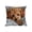 D, variant on Yeciiwht Animals Series Pillow Covers 18x18 Inches Cats Dog Print Throw Pillow Covers, Exquisite Cozy Pillow Case Office Nap Pillowcase Decorative Pillow Cases for Sofa, Chair, Bed