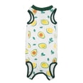 thumbnail image 2 of Cat Surgery Recovery Suit,Cat Recovery Suit Prevents Cat Surgical Recovery Suit Cat Recovery Suit Power Packed Performance, 2 of 12