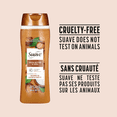 thumbnail image 1 of Suave Cocoa Butter + Shea Moisturizing Body Wash with Glycerin & Vitamin E, 532mL, 1 of 4