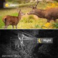 thumbnail image 4 of Trail Camera, Hunting Camera With Wide-Angle Motion Latest Sensor View Trigger Time Trail Game Camera With No Glow Andwaterproof For Wildlife Monitoring, 4 of 9