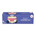 thumbnail image 1 of Canada Dry Blackberry Ginger Ale12X355ML, 1 of 4