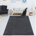 thumbnail image 1 of LaDole Rugs 3x5 ft Fluffy Shaggy Area Runner Rug | Machine Washable Carpet For Entry Way, Office, Entrance Floor Décor | Anthrasite Grey, 1 of 1