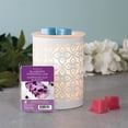 thumbnail image 4 of ScentSationals, Scented Wax Cubes - Blueberry Marshmallow, 4 of 5