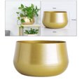 thumbnail image 3 of Brass Pots Indoor Cactus Plant Pot with Drainage Hole, 3 of 8