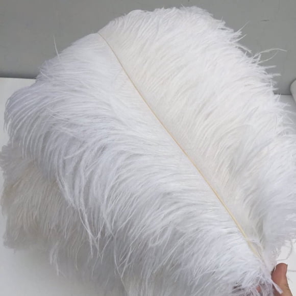 20pcs Ostrich Feathers, 6-7.9 inch 15-27cm Real Natural Ostrich Feathers DIY Craft Feather for Home Party Wedding Decoration White