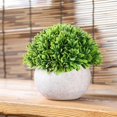 thumbnail image 3 of Artificial Plant Potted Lifelike Round Fake Greenery Plant Faux Plant Decoration, 3 of 10