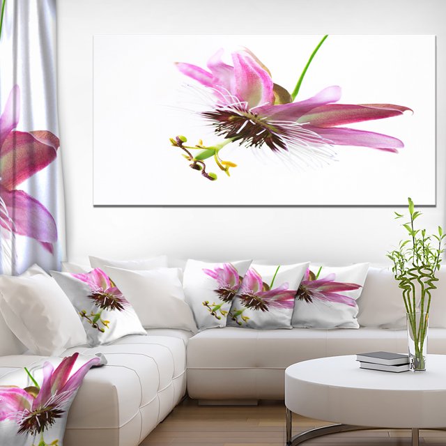Fleur de Passiflore sur Fond Blanc - Grande Impression Artistique sur Toile d'Animal