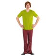 thumbnail image 2 of Déguisement Shaggy Classique pour Homme Scooby Doo, 2 of 6