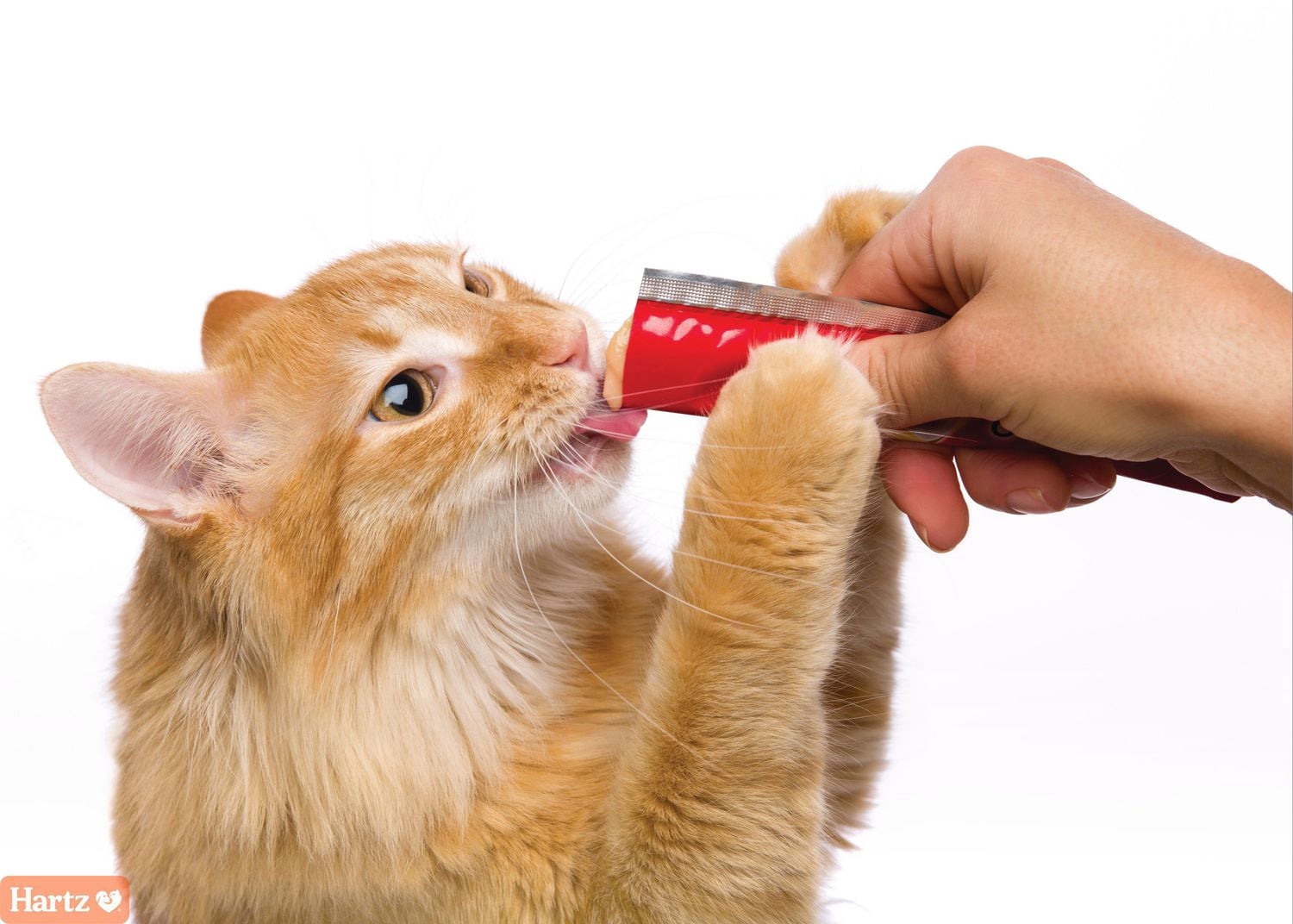 Delectables au Thon et au Saumon Squeeze Up™ Gâteries pour Chats Lot de 4