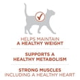 thumbnail image 4 of Purina ONE +Plus High Protein Chicken Formula, Dry Cat Food 1.8 kg, 4 of 9