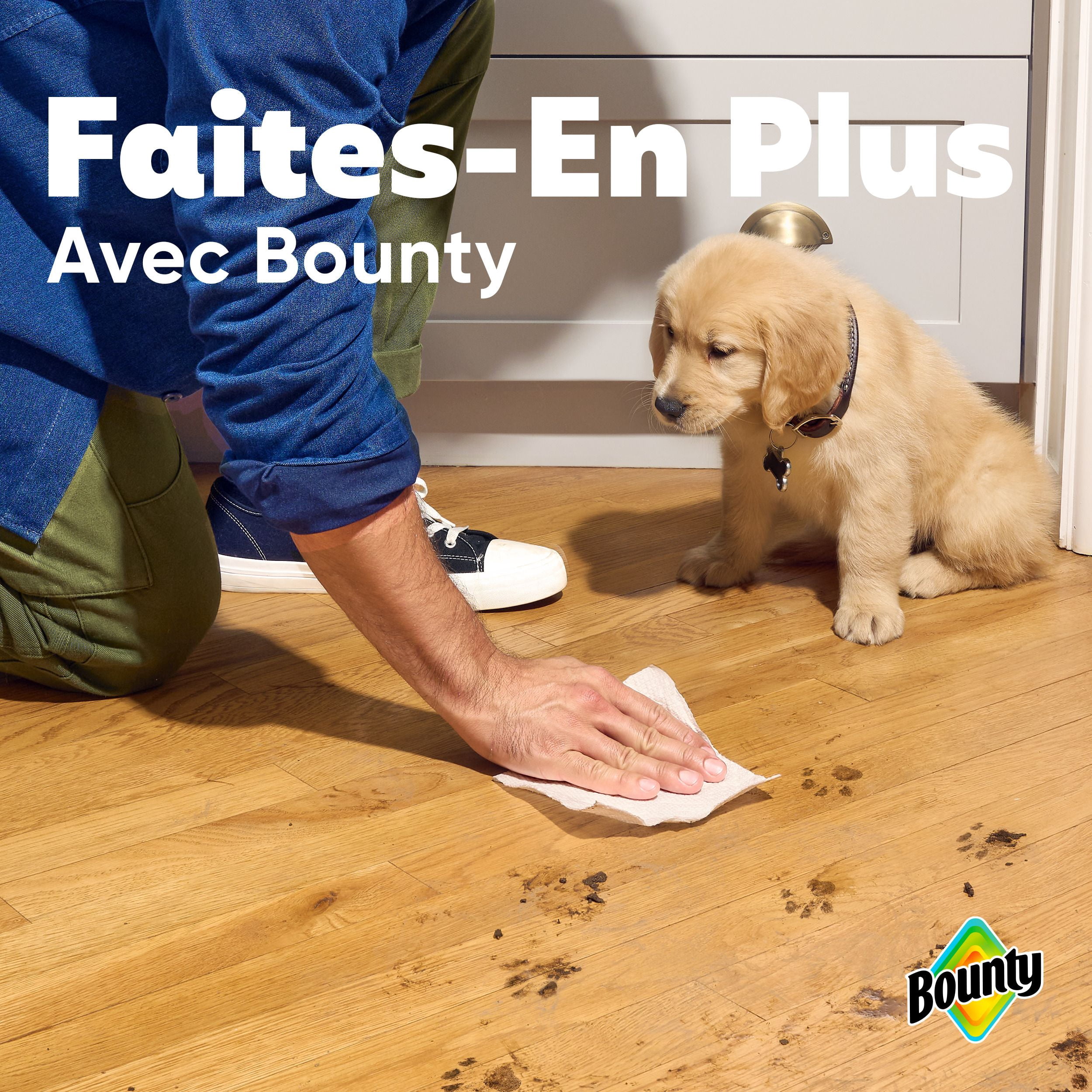 Bounty Paper Towel, 2 Rolls (4 Regular Rolls Equivalent)