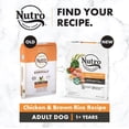 thumbnail image 4 of Nutro Natural Choice Adult Dry Dog Food Chicken & Brown Rice Recipe 13.61kg, 4 of 9