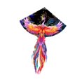 thumbnail image 4 of Lipstore Huge Kite Classic Pattern Colorful Large Giant Kites for Props Backyard Trip 160x230cm, 4 of 8
