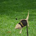 thumbnail image 2 of Strong Dog Leash Retractable Light Dog Leashes for Small Dogs Strong Dog Leashes for Large Dogs Training Dog Leashes for Large Dogs Short Leash for Dogs Bearded Clothes With Leash Set For Small, 2 of 4