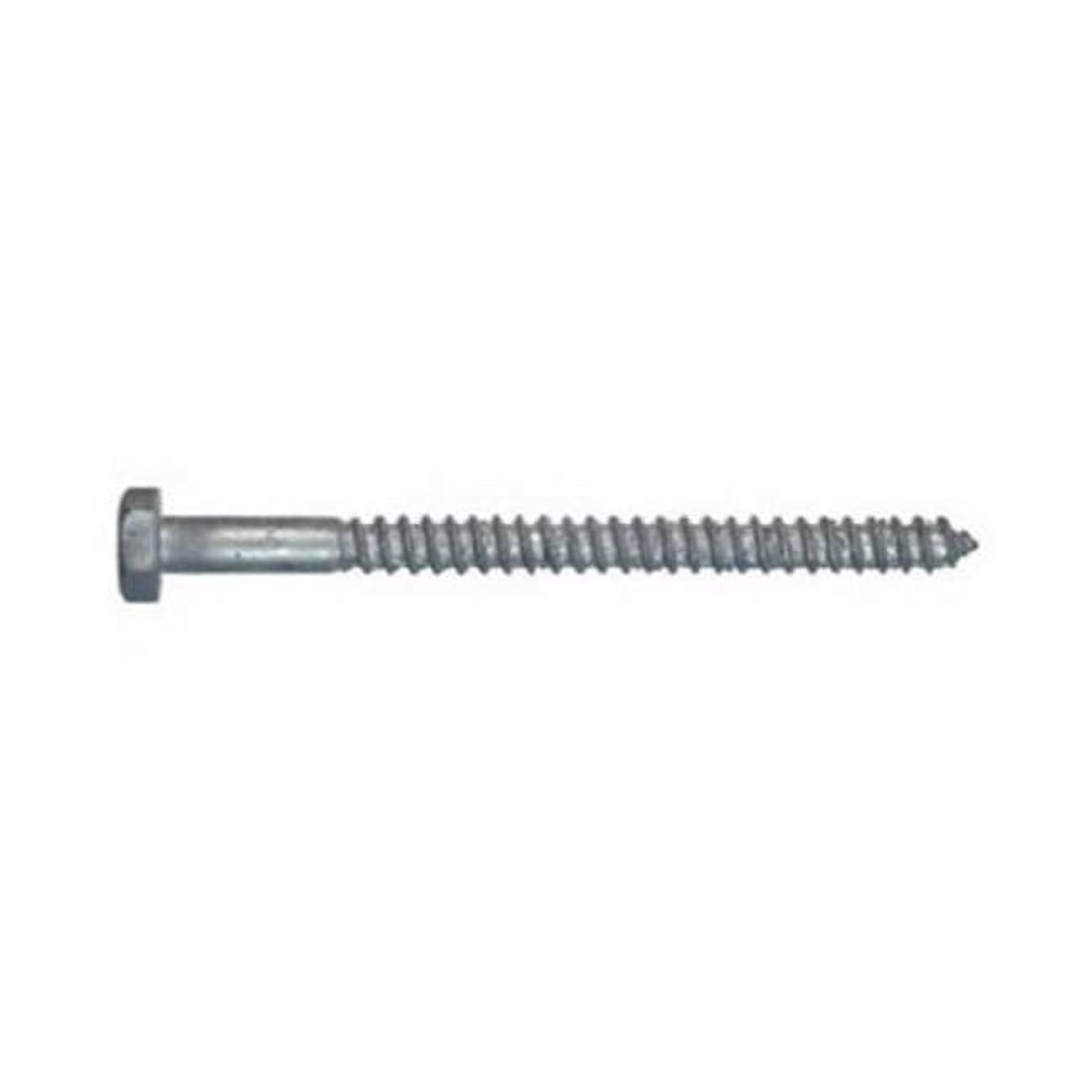 Hex Head Lag Bolt, Galvanized Steel, 1/2 x 6 In., 25-Ct. - 812104