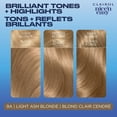 thumbnail image 2 of Clairol Nice'n Easy Permanent Hair Dye, 2 of 9