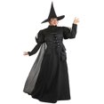 thumbnail image 1 of Costume de Sorcière Wayward Premium Grande Taille, 1 of 8
