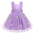 thumbnail image 1 of IBTOM CASTLE Baby Girls Birthday Party Dress Butterfly Embroidery Princess Tulle Tutu Wedding Pageant Evening Prom Ball Gown, 1 of 4