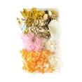 thumbnail image 1 of Dvkptbk Craft Material Dried Flowers Material Kit Diy Everlasting Flowers Material Making Valentine's Day Gift Home Decor, 1 of 2