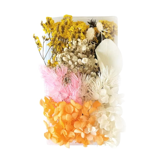 Dvkptbk Craft Material Dried Flowers Material Kit Diy Everlasting Flowers Material Making Valentine's Day Gift Home Decor