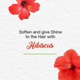 thumbnail image 3 of Himalaya Gentle Baby Shampoo 200ml, 3 of 5