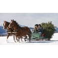 thumbnail image 4 of Heartland - A Heartland Christmas, 4 of 4