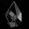 thumbnail image 3 of Jardinière de Terrarium Géométrique en Verre Fougère, 3 of 8