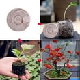 thumbnail image 2 of Blocs de Terreau de Plantation Bouchon Nutrition Blocs de Tourbe Compressée Terre de Coco Tourbe Blocs de Semis Compressés, 2 of 8