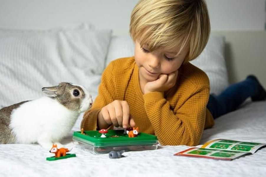 Smart Games Lièvres et Renards - French game - 60 progressive challenges - For kids 7+