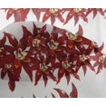 thumbnail image 4 of oneOone Viscose Chiffon Fabric Flower Artistic Printed Craft Fabric BTY 42 Inch Wide, 4 of 4
