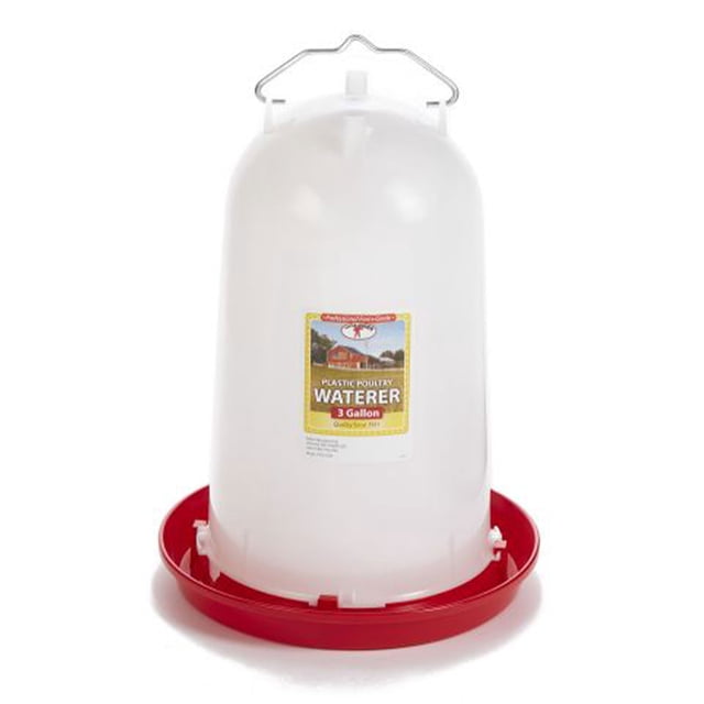 Little Giant Arroseur de Volaille en Plastique Robuste de 3 Gallons