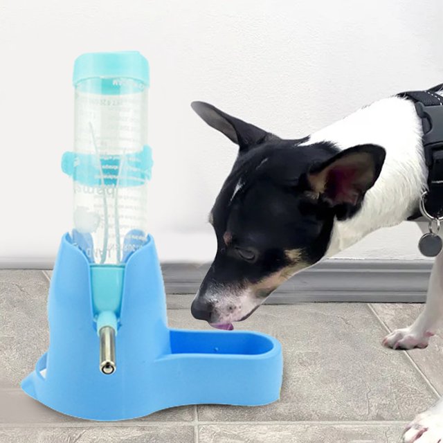 Automatic Feeders for Small -Functional Drinking and Food Dispenser for Hamsters Rabbits and Ferrets -Saving Pet Care Solution