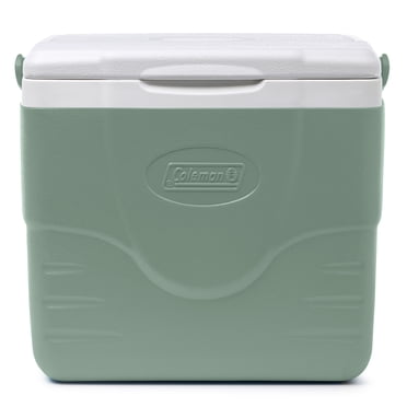 Coleman Chiller 9-Quart Hard Cooler, 8.5-Litre Portable Travel Cooler, Insulated Lunch and Drink Cooler, Hickory Moss