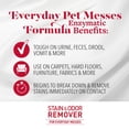 thumbnail image 2 of Nature's Miracle Stain & Odour Remover for Dogs, 946ml, 2 of 6
