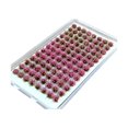 thumbnail image 1 of jifeng Artificial DIY Miniature Flower Cluster Grass Tufts Diorama Layout Scenery Model Pink, 1 of 9
