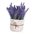 thumbnail image 3 of Lavender Potted Plant Arrangement Flower Flower Pot for Hotel Kitchen Office A, 3 of 8