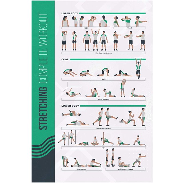 FitMate Stretching Workout Exercise Poster - Workout Routine with Free Weights, Home Gym Decor, Room Guide (20 x 30 Inch)
