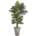 thumbnail image 1 of Nearly Natural 9769 7 in. Golden Cane Artificial Palm Tree in Cement Planter, 1 of 3