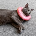thumbnail image 1 of Collier de Récupération Doux Ajustable pour Chats Post-Confort et Prévention des Léchages, 1 of 3