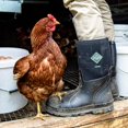 thumbnail image 3 of Bottes de Travail en Caoutchouc Classiques pour Hommes Muck Chore, 3 of 5