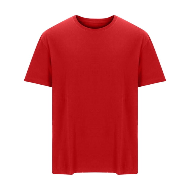 Timegard Athletic Tops for Men Crewneck Lightweight Color Block Casual Breathable Running Tee Shirts