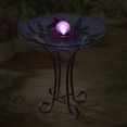 thumbnail image 4 of Bain d'Oiseaux en Verre à Motif FLORAL d'Orbe Solaire avec Support, 4 of 4