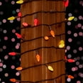 thumbnail image 3 of Novelty Lights 24FT 70 LED C6 Thanksgiving & Outdoor Christmas Tree Lights, 3 of 7