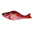 thumbnail image 1 of Poisson Électrique en Mouvement Jouet pour Chat Simulation Réaliste Poisson Qui Remue Jouet Interactif Amusant pour Animaux, 1 of 6