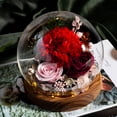 thumbnail image 1 of TopLLC Rose Flower LED Light Valentines Day Gifts Romantic Glass Rose Decor, 1 of 2
