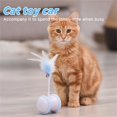 thumbnail image 1 of Summer Savings Dianli WEIMIN Ball with LED Light Interactive Toy Feather, Electric Toy Ball, Rechargeable USB Clearance Items, 1 of 5