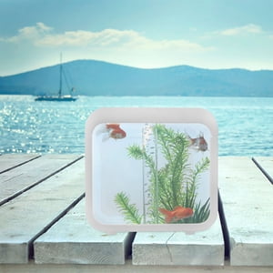 Raindrops Transparent Small Fish Tank with Light for Home and Bedroom Decoration