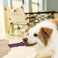 thumbnail image 4 of Vibrant Life Lot de Jouets à Mâcher en Caoutchouc pour Chien, 4 of 8