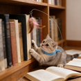 thumbnail image 1 of Interactive Cat Collar Teaser Wand for Indoor Play and Exercise with Feather Attachment and Coil Construction, 1 of 4