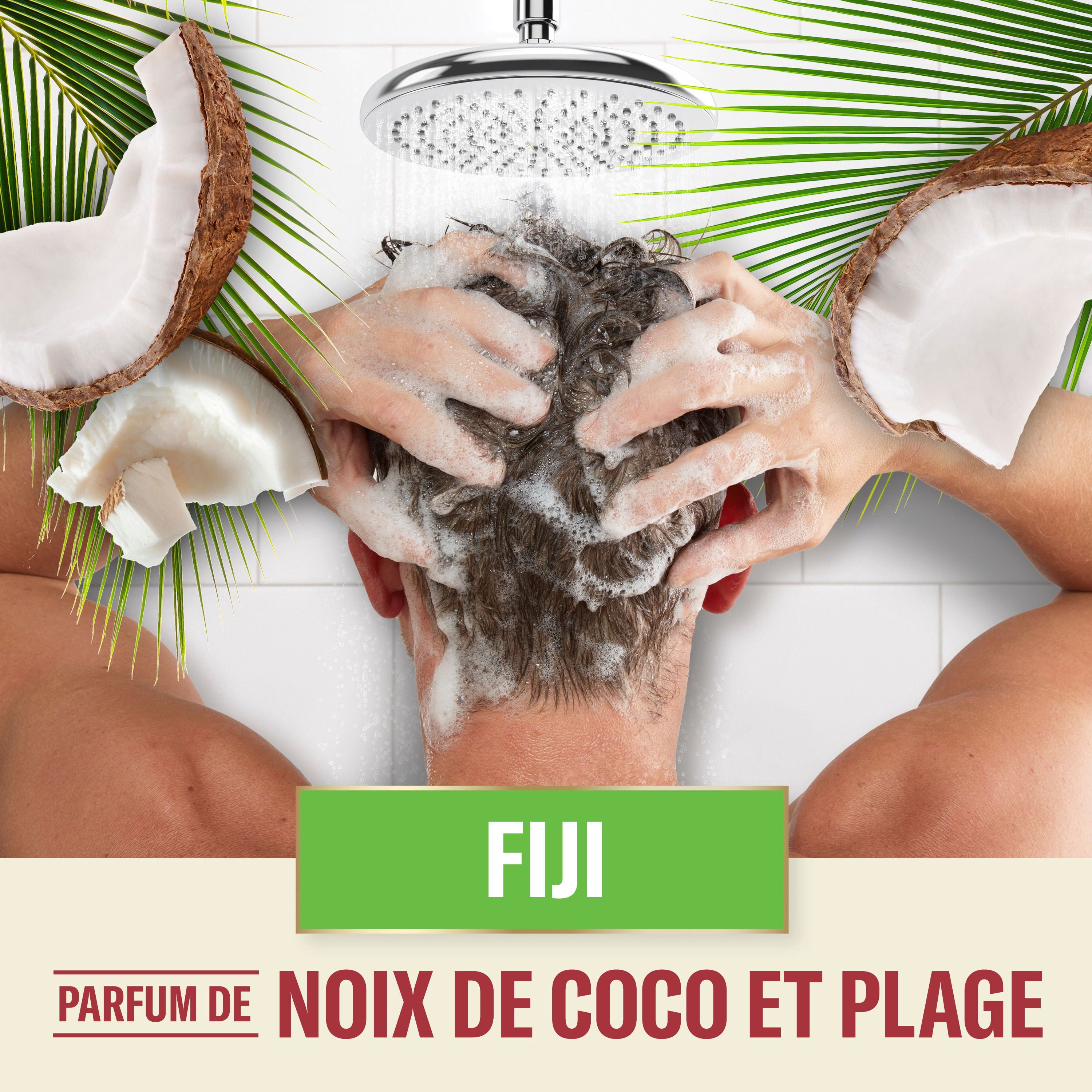 Old Spice Fiji Shampooing pour Hommes